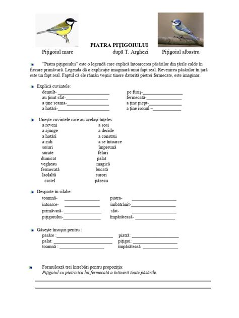 piatra pitigoiului pdf